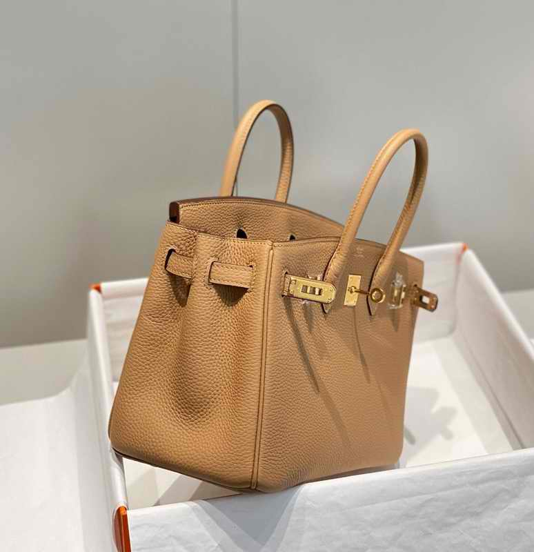 Hermes Birkin 25cm Bag In Mauve Pale Clemence Leather PHW4.jpg