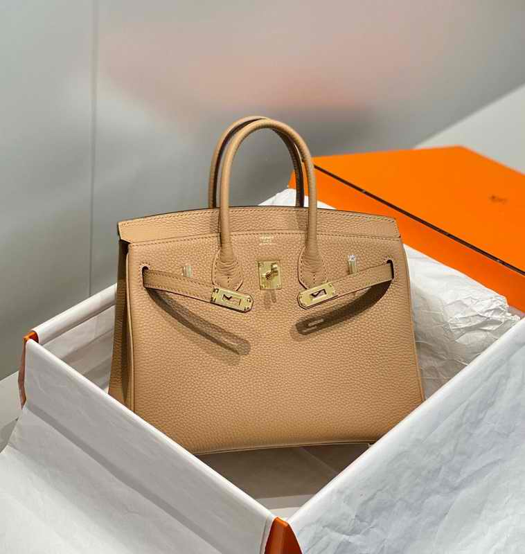 Hermes Birkin 25cm Bag In Mauve Pale Clemence Leather PHW3.jpg