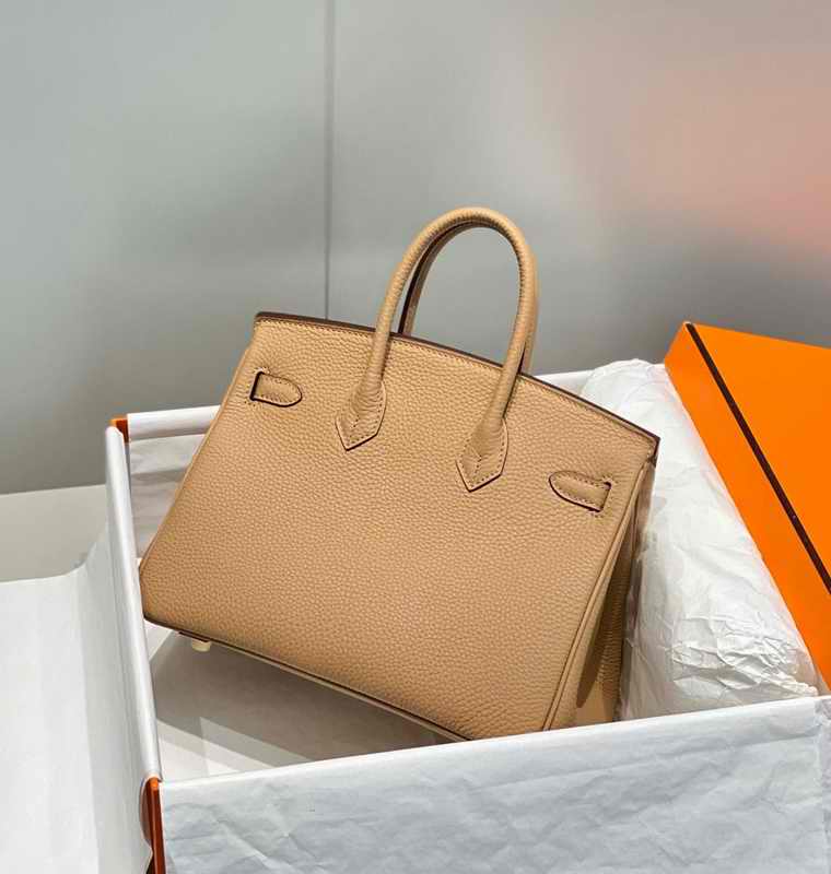 Hermes Birkin 25cm Bag In Mauve Pale Clemence Leather PHW2.jpg