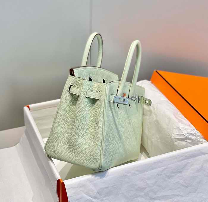 Hermes Birkin 25cm Bag3.jpg