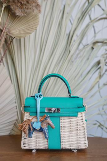 Hermes Kelly Picnic 20